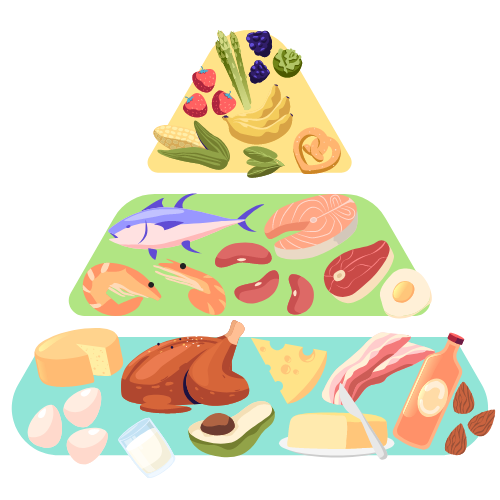 food pyramid